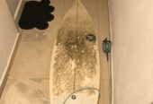 Short board 7s