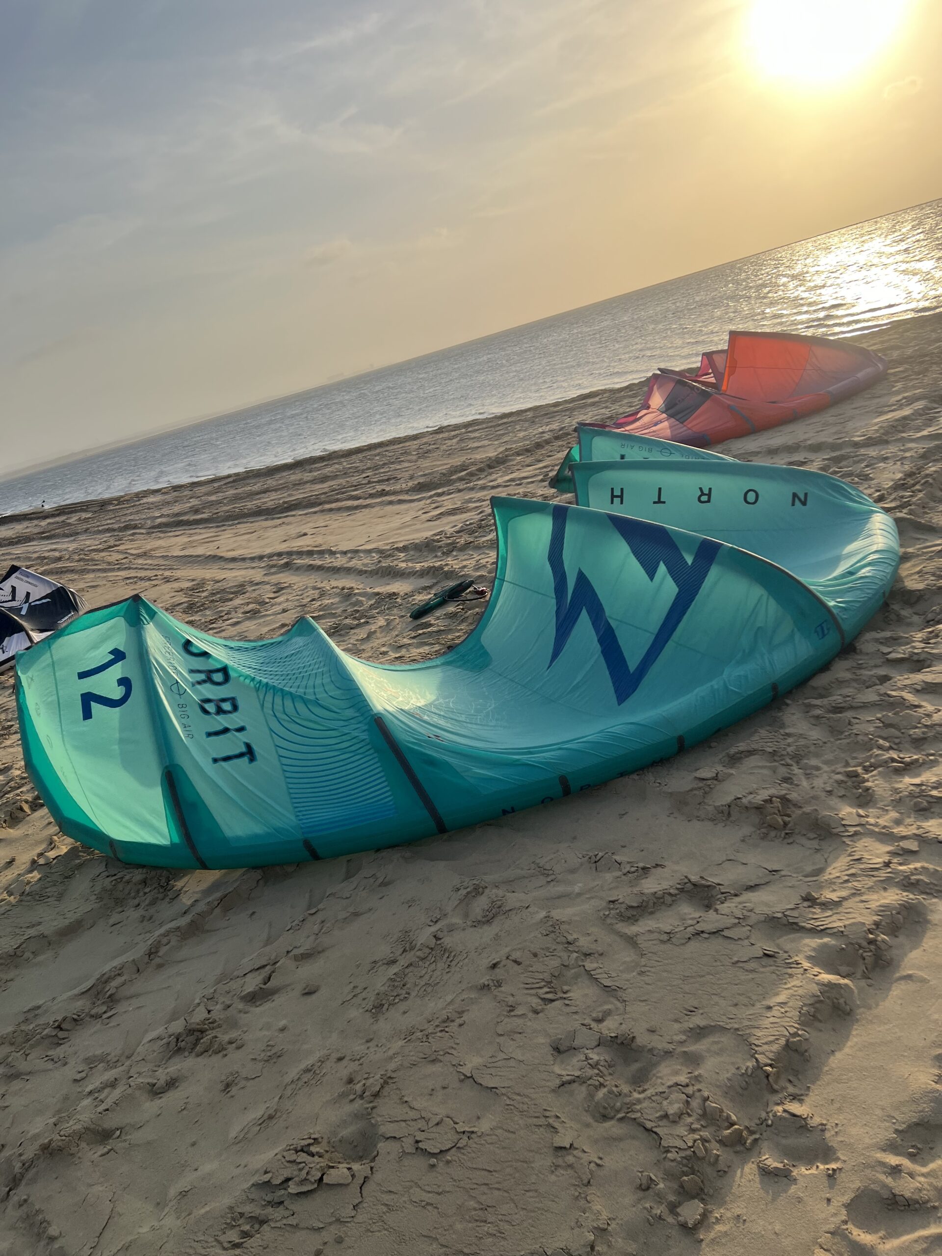 North Orbit 2021 con Barra Navigator !Super promo!